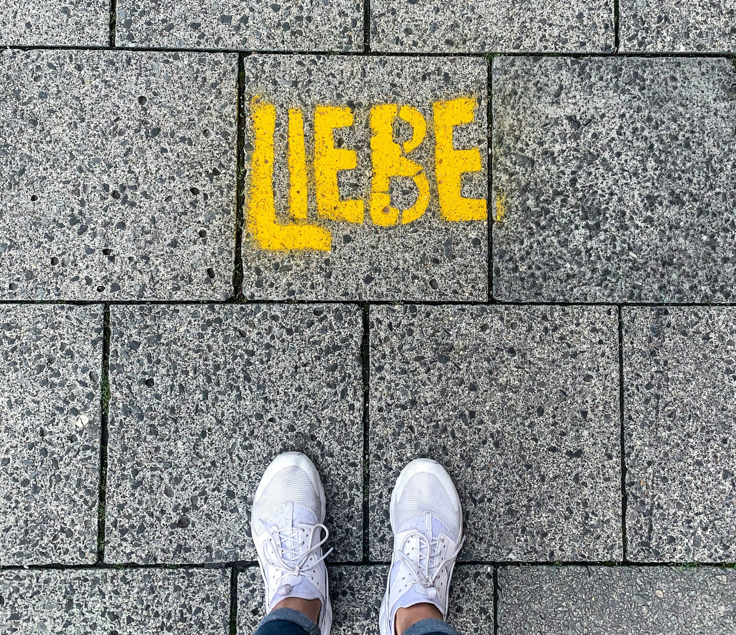 Imagen de la seccion